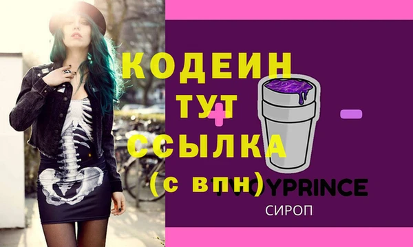 молекула духа Бородино