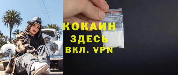 молекула духа Бородино