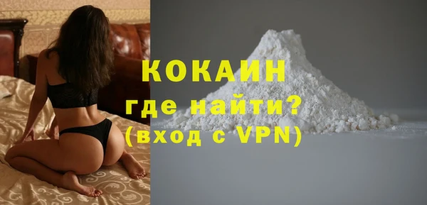 молекула духа Бородино