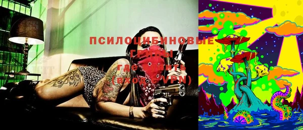 стаф Бронницы
