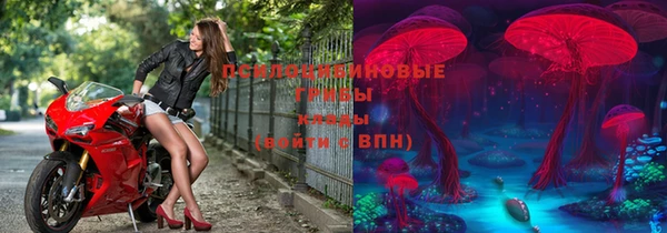 прущие грибы Семёнов