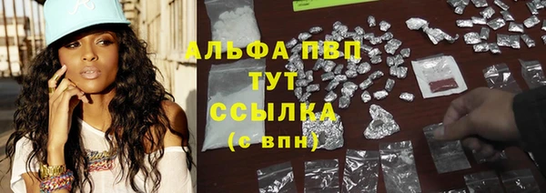 молекула духа Бородино