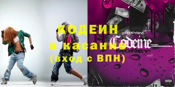 молекула духа Бородино