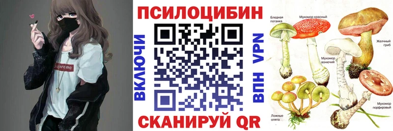 Псилоцибиновые грибы Psilocybine cubensis цена наркотик Дигора